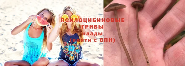 соль ск Баксан